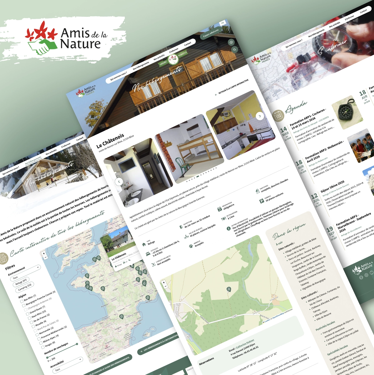 Site Wordpress ONG